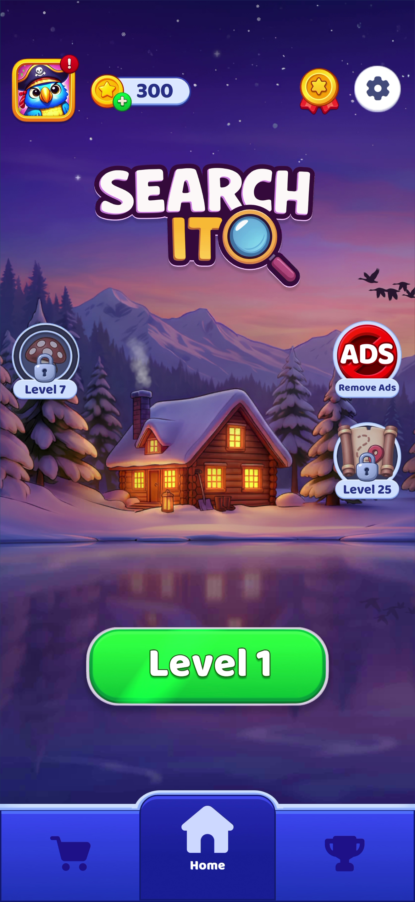 Search It — Home screen